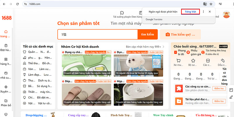 Dịch trang sang tiếng Việt