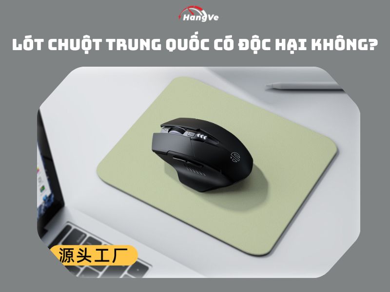 Lót chuột Trung Quốc có độc hại không?