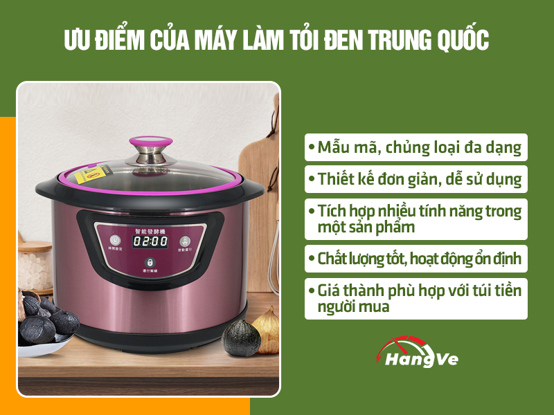 máy làm tỏi đen Trung Quốc