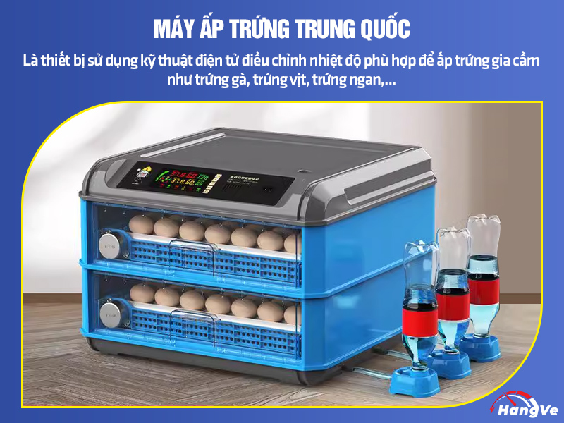 máy ấp trứng Trung Quốc