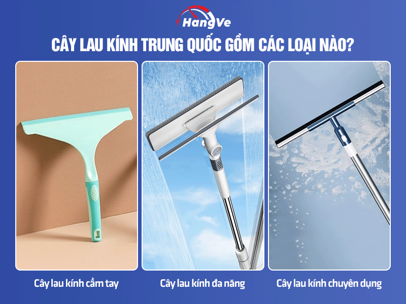 3 loại cây lau kính cực phổ biến