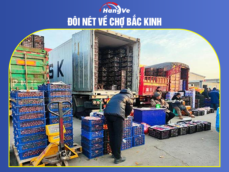 Đôi nét về chợ Bắc Kinh