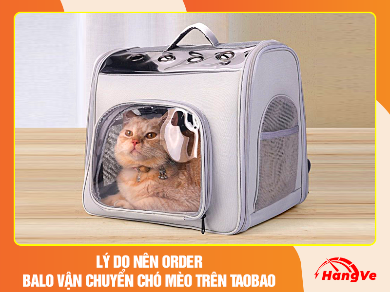 Lý do nên order balo vận chuyển chó mèo trên Taobao