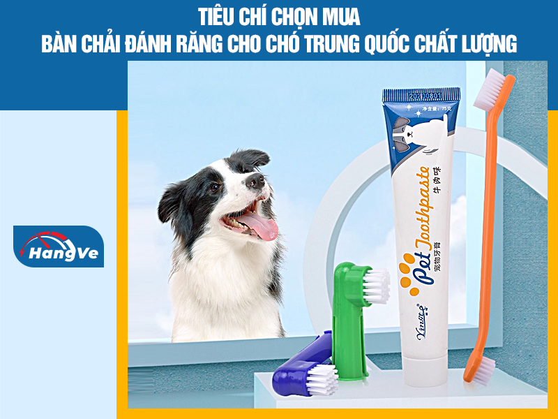 Tiêu chí chọn mua bàn chải đánh răng cho chó Trung Quốc chất lượng