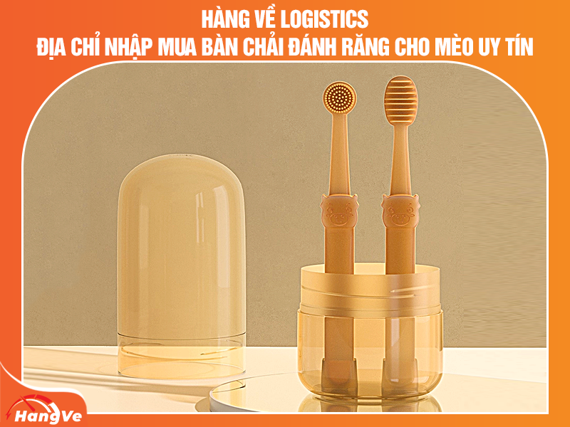 Hàng Về Logistics - Địa chỉ nhập mua bàn chải đánh răng cho mèo uy tín