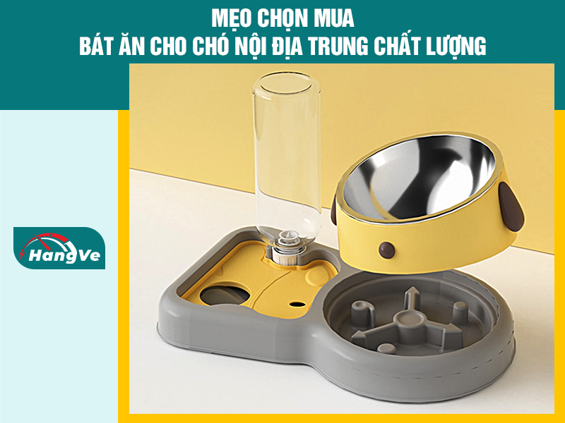 Mẹo chọn mua bát ăn cho chó nội địa Trung chất lượng