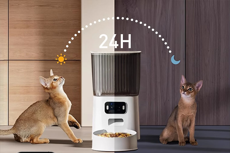 Bát đựng thức ăn tự động