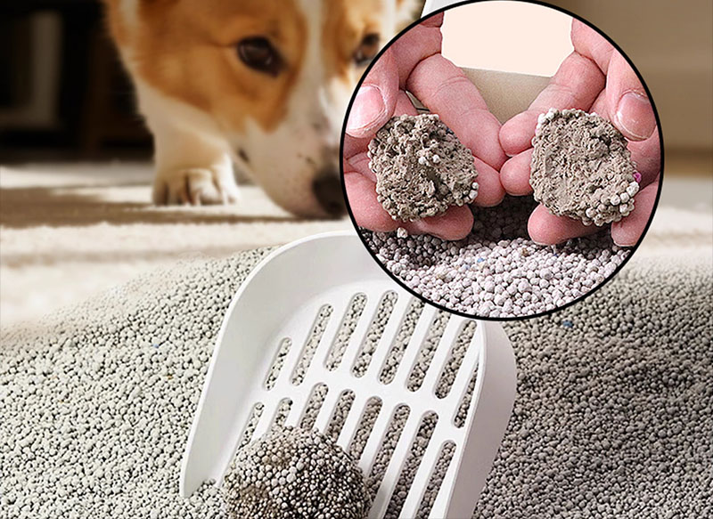 Cát vệ sinh dạng sỏi (bentonite vón cục)