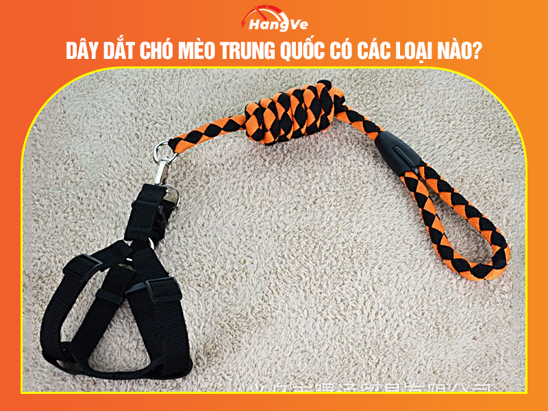 Dây dắt chó mèo Trung Quốc có các loại nào?