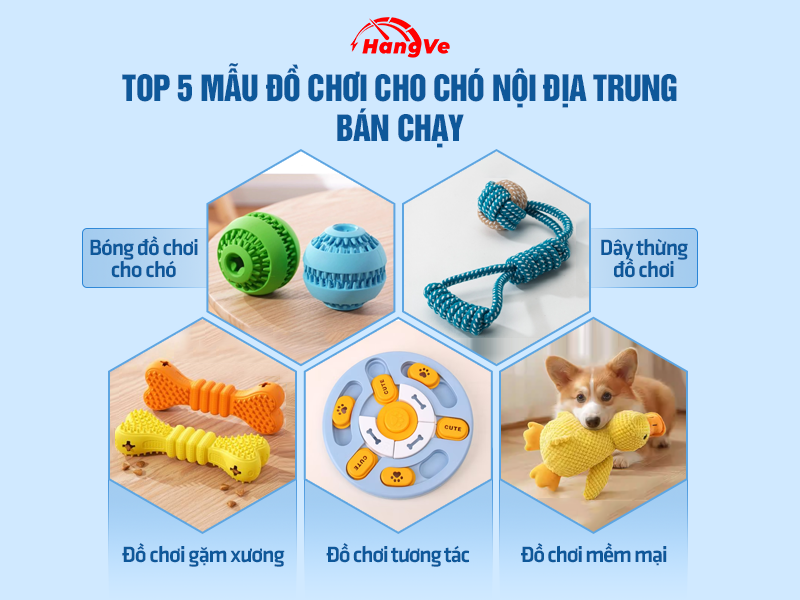 Top 5 mẫu đồ chơi cho chó nội địa Trung bán chạy