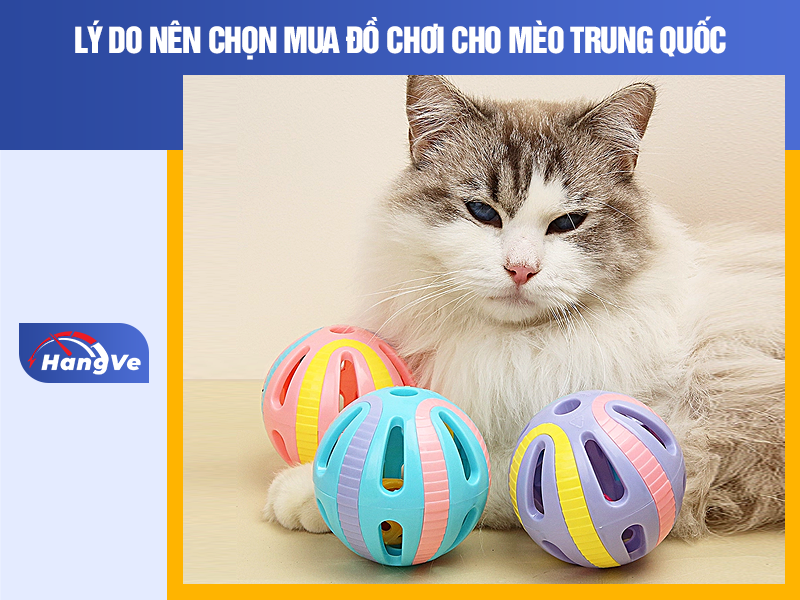 Lý do nên chọn mua đồ chơi cho mèo Trung Quốc