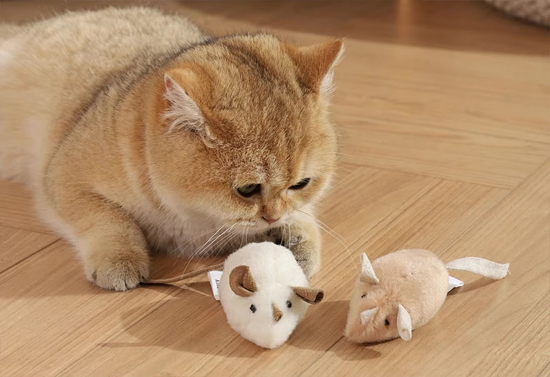 Chuột đồ chơi cho mèo