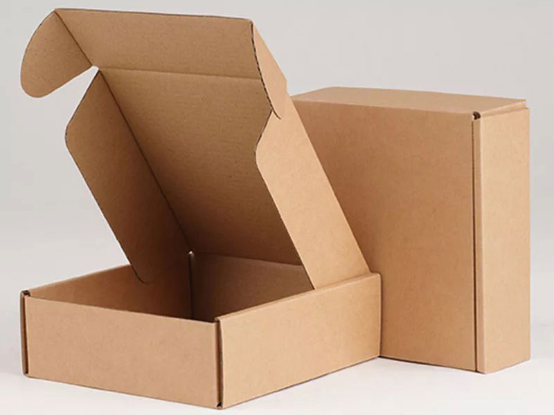 Hộp carton nắp gài