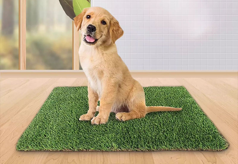 Khay vệ sinh lót thảm cỏ nhân tạo