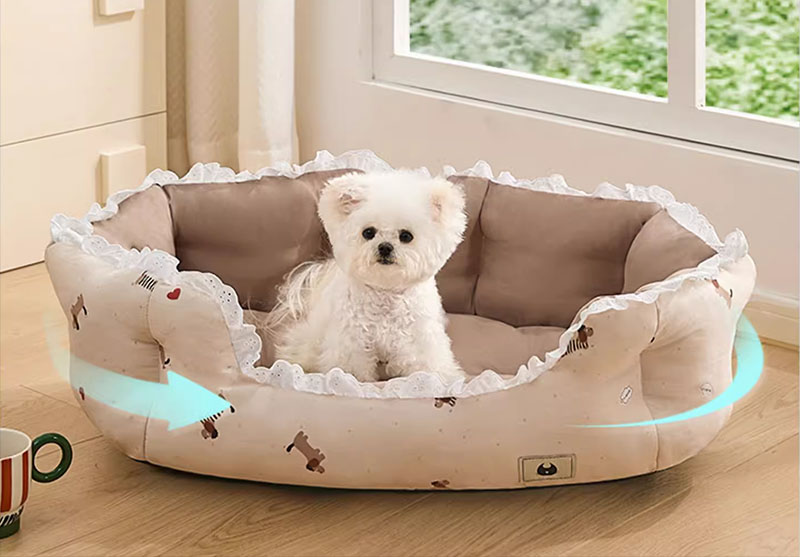 Lý do nên chọn mua nệm cho chó Trung Quốc