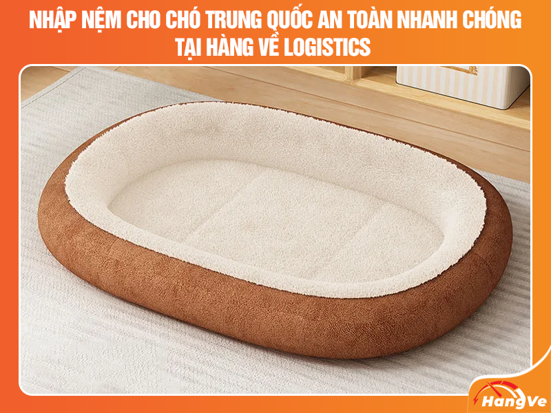 Nhập nệm cho chó Trung Quốc an toàn nhanh chóng tại Hàng Về Logistics