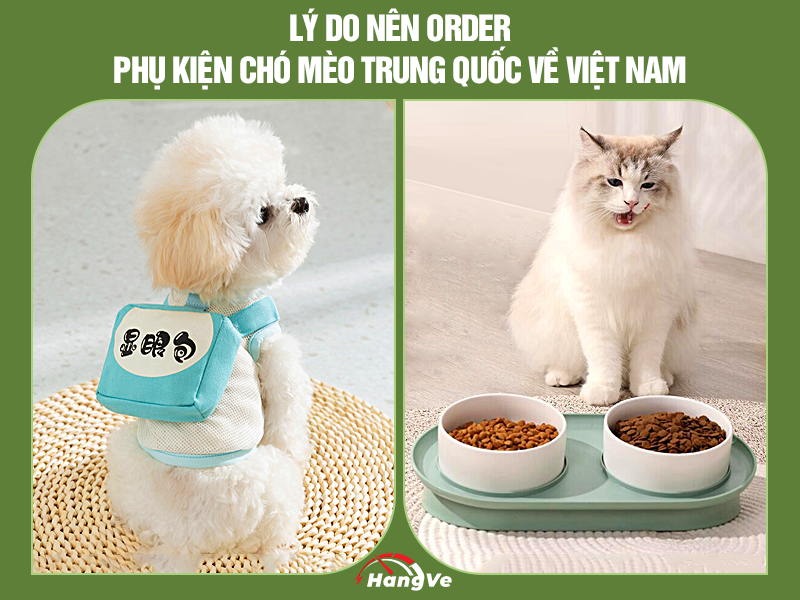 Lý do nên order phụ kiện chó mèo Trung Quốc về Việt Nam