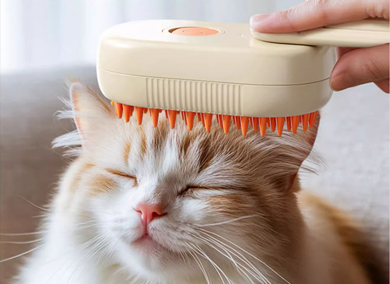 Dụng cụ vệ sinh