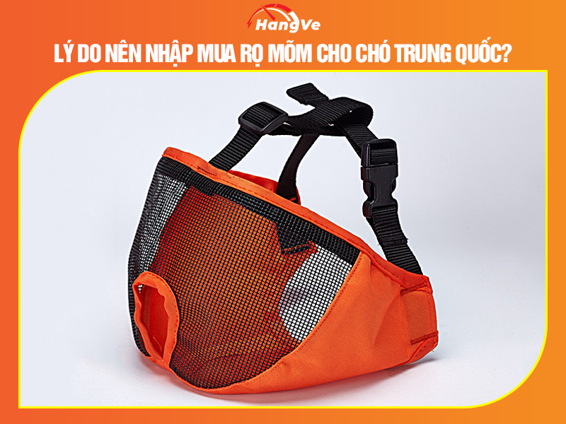 Lý do nên nhập mua rọ mõm cho chó Trung Quốc?