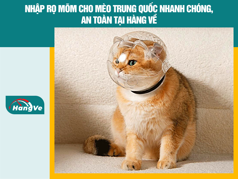 Nhập rọ mõm cho mèo Trung Quốc nhanh chóng, an toàn tại Hàng Về
