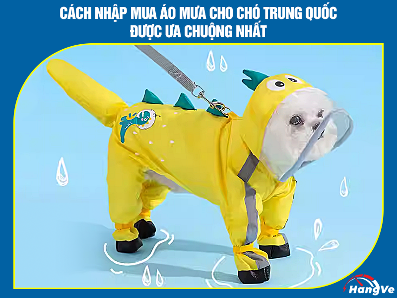 Cách nhập mua áo mưa cho chó Trung Quốc được ưa chuộng nhất