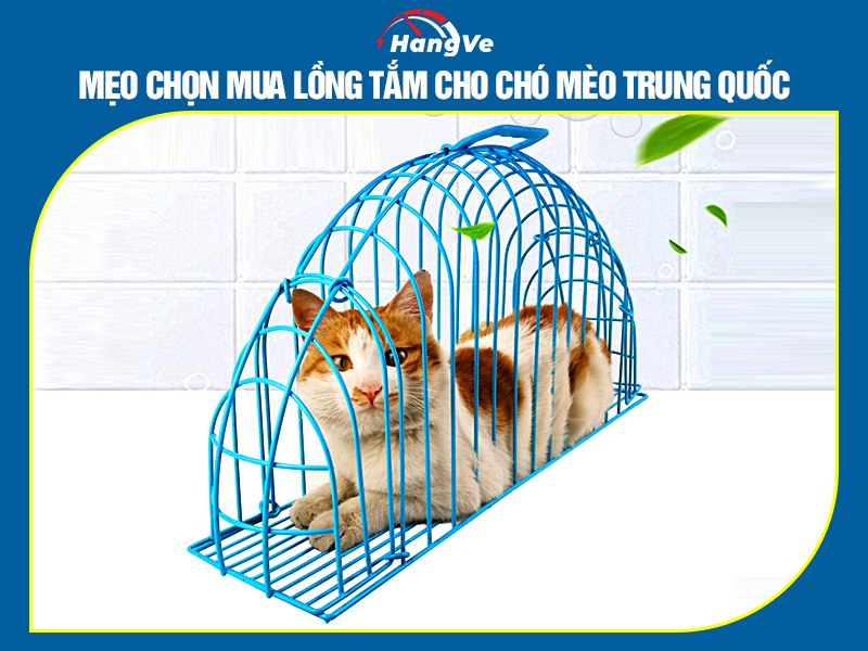 Mẹo chọn mua lồng tắm cho chó mèo Trung Quốc