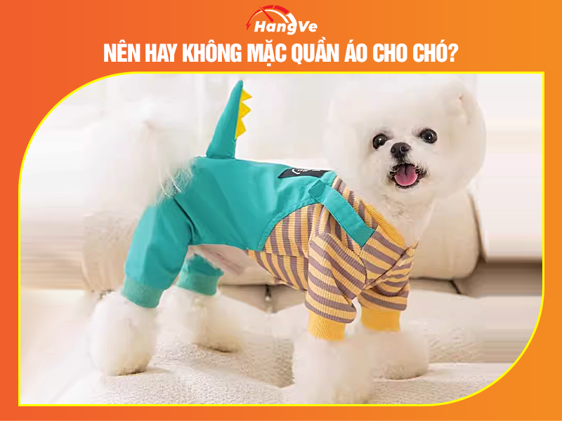 Nên hay không mặc quần áo cho chó?