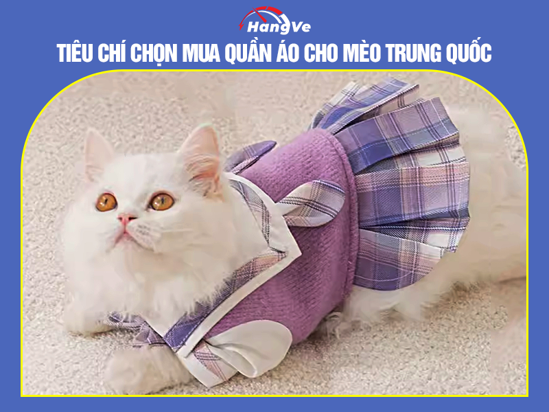 Tiêu chí chọn mua quần áo cho mèo Trung Quốc