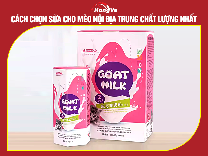 Cách chọn sữa cho mèo nội địa Trung chất lượng nhất