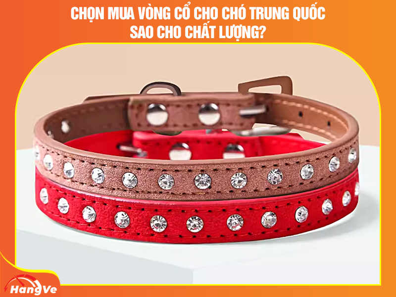 Chọn mua vòng cổ cho chó Trung Quốc sao cho chất lượng?