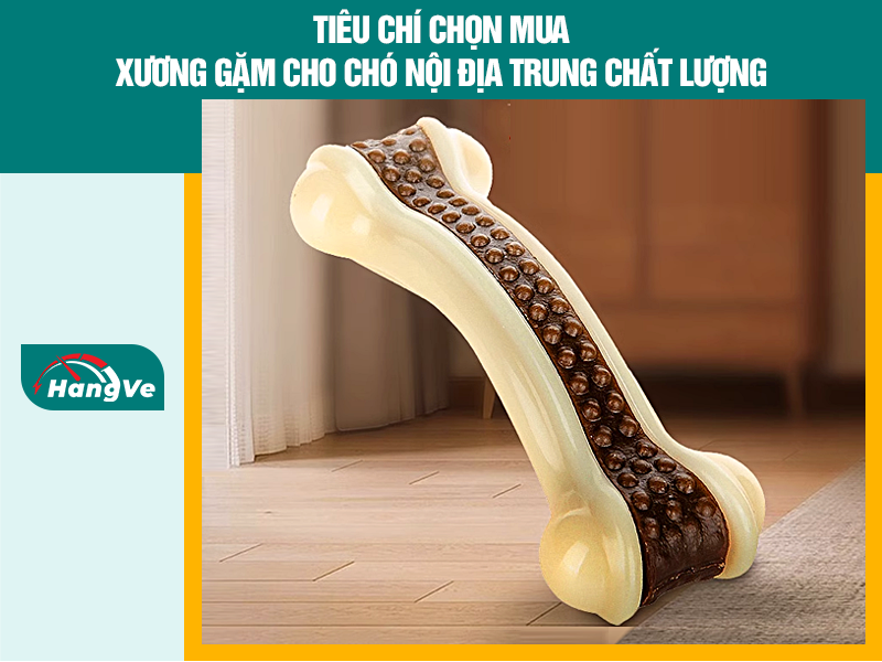 Tiêu chí chọn mua xương gặm cho chó nội địa Trung chất lượng