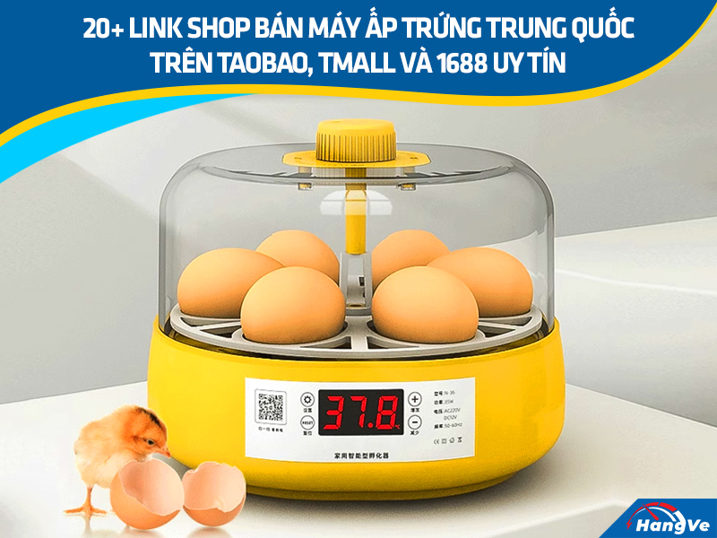 máy ấp trứng Trung Quốc