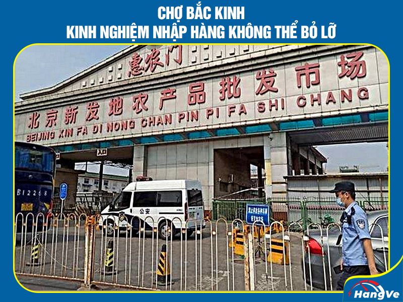 Kinh nghiệm nhập hàng cực nhanh không thể bỏ lỡ