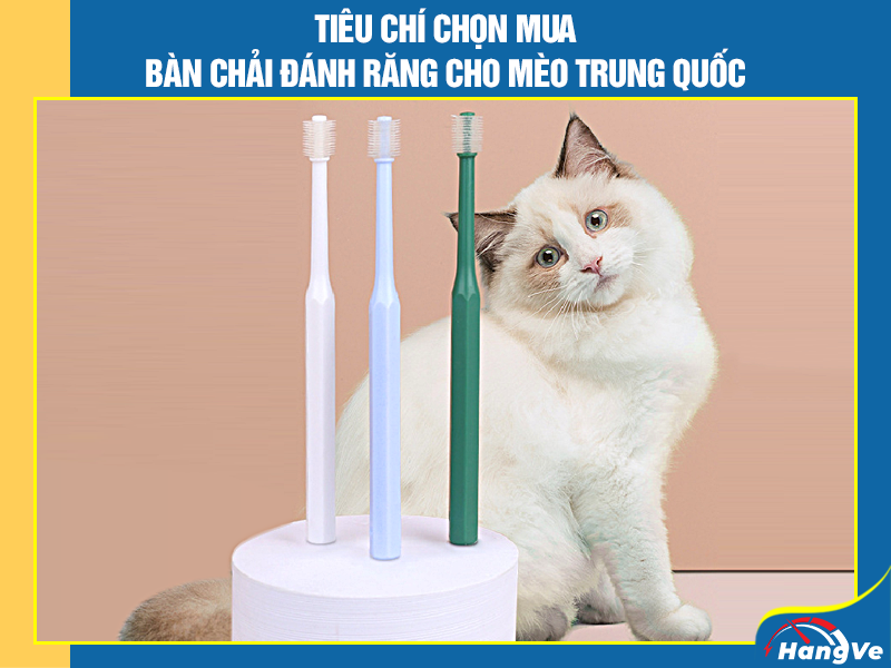 Tiêu chí chọn mua bàn chải đánh răng cho mèo Trung Quốc cực chất