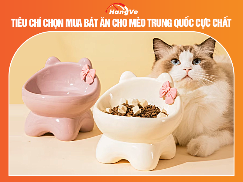 Tiêu chí chọn mua bát ăn cho mèo Trung Quốc cực chất