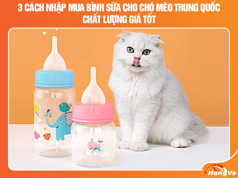 3 cách nhập mua bình sữa cho chó mèo nội địa Trung được ưa chuộng