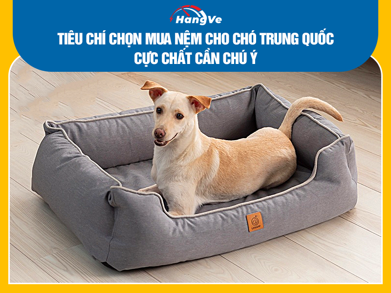 Tiêu chí chọn mua nệm cho chó Trung Quốc cực chất