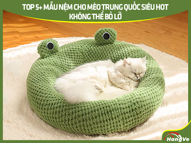Lý do nên chọn nệm cho mèo Trung Quốc về Việt Nam