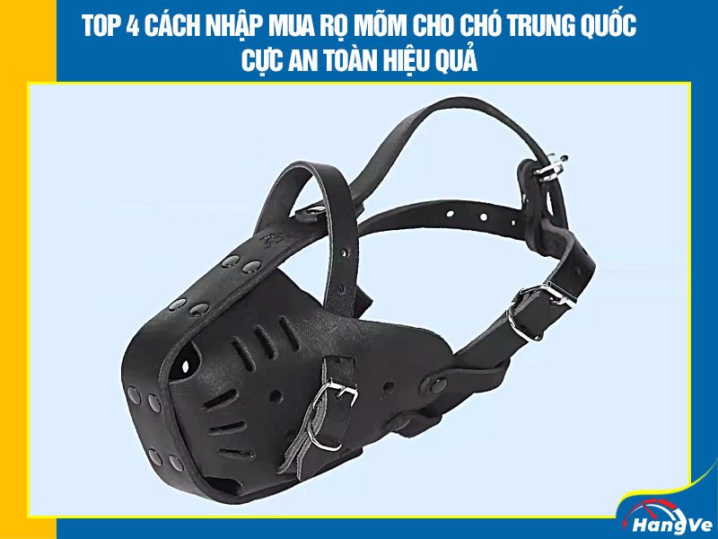 Top 4 cách nhập mua rọ mõm cho chó Trung Quốc cực an toàn hiệu quả