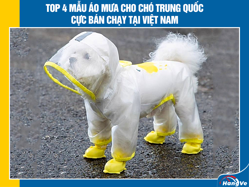 Shop nhập mua cho chó Trung Quốc cực chất giá hời