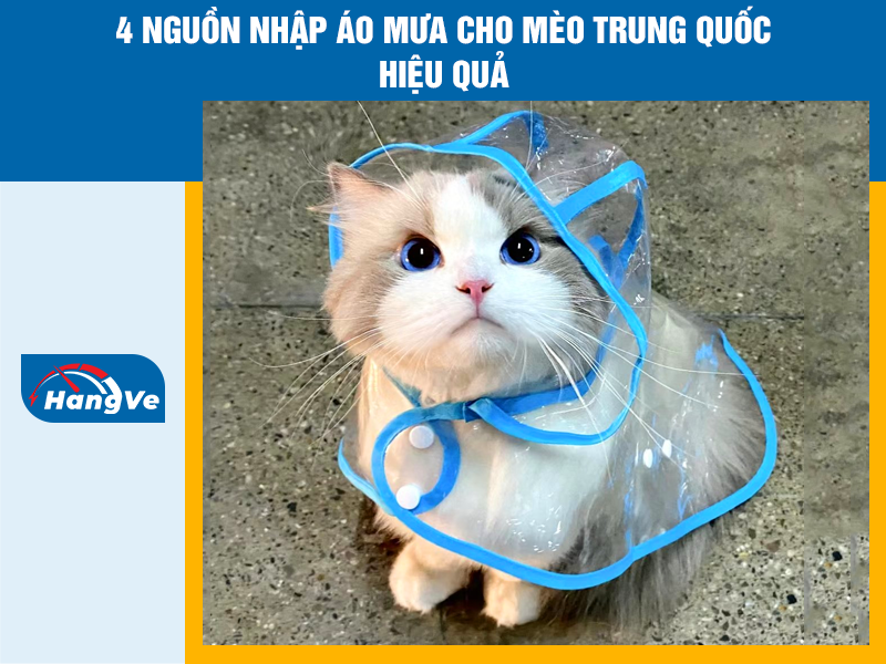 4 nguồn nhập áo mưa cho mèo Trung Quốc nhanh chóng hiệu quả