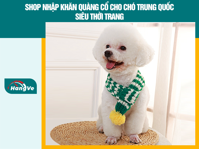 Cách nhập khăn quàng cổ cho chó nội địa Trung được ưa chuộng nhất