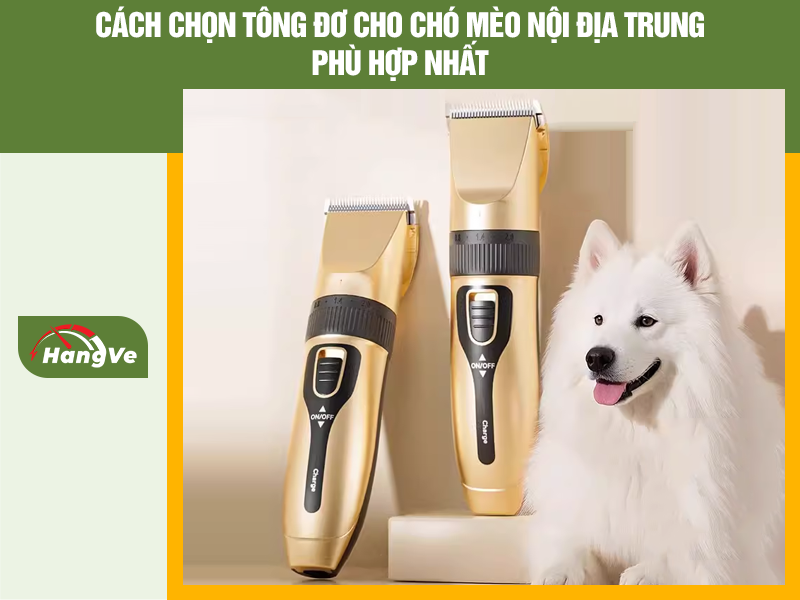 Cách chọn tông đơ cho chó mèo nội địa Trung phù hợp nhất